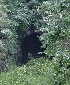 Train Tunnel